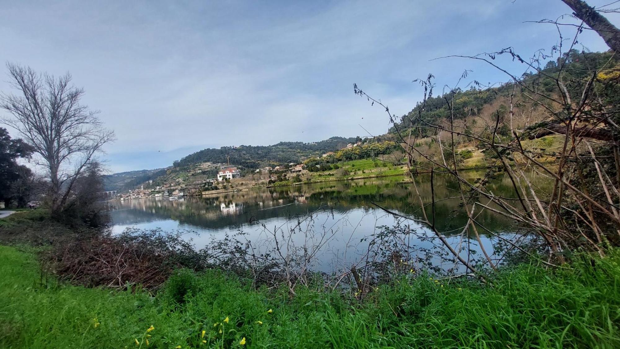 צ'ינפאס Welcome Douro מראה חיצוני תמונה